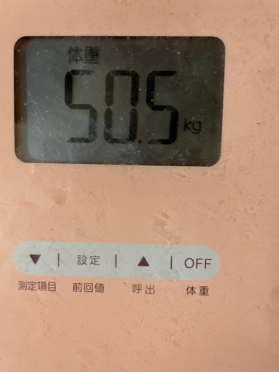 介護福祉士まぴもんと大好きな家族たち🐢🐰😸🦔 tweet media