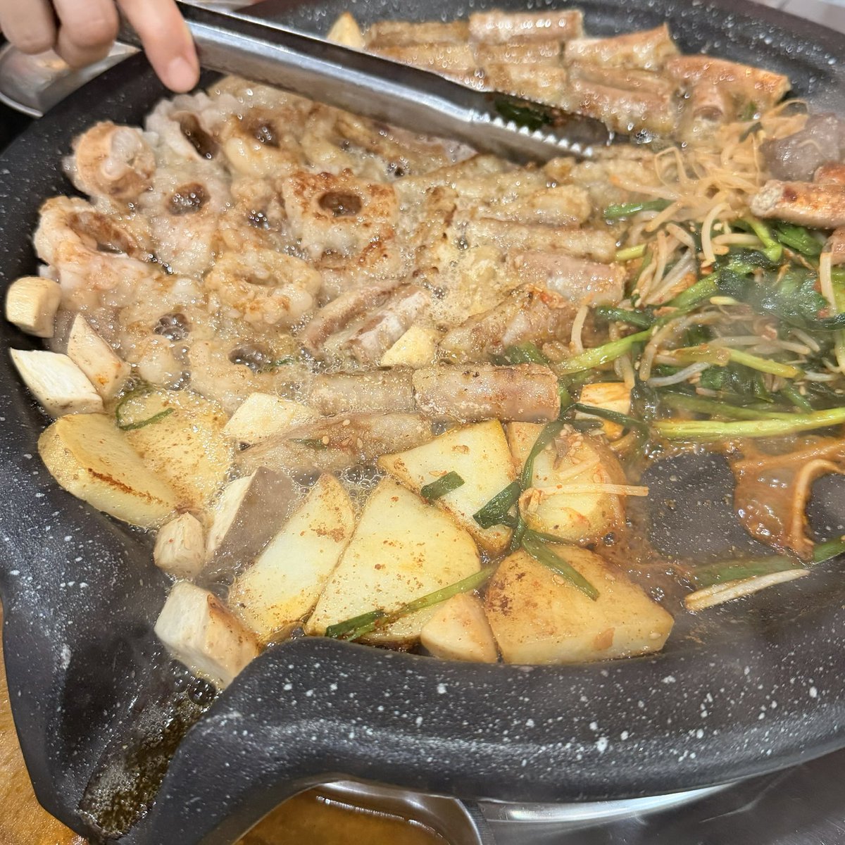 카네코 파냐 tweet media