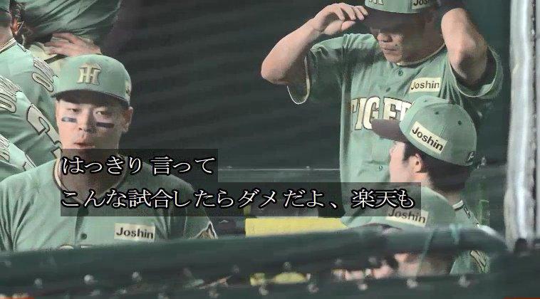 ラヴィちゃん tweet media