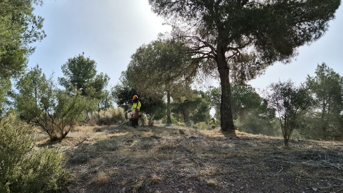 AytoMurcia's tweet photo. El Ayuntamiento actúa en más de 610.000 m² de parques municipales para prevenir incendios forestales.

Se trabaja durante todo el año para garantizar el mantenimiento y conservación de estos espacios.

https://t.co/nccOawOT4t https://t.co/A6JUUdTZpA