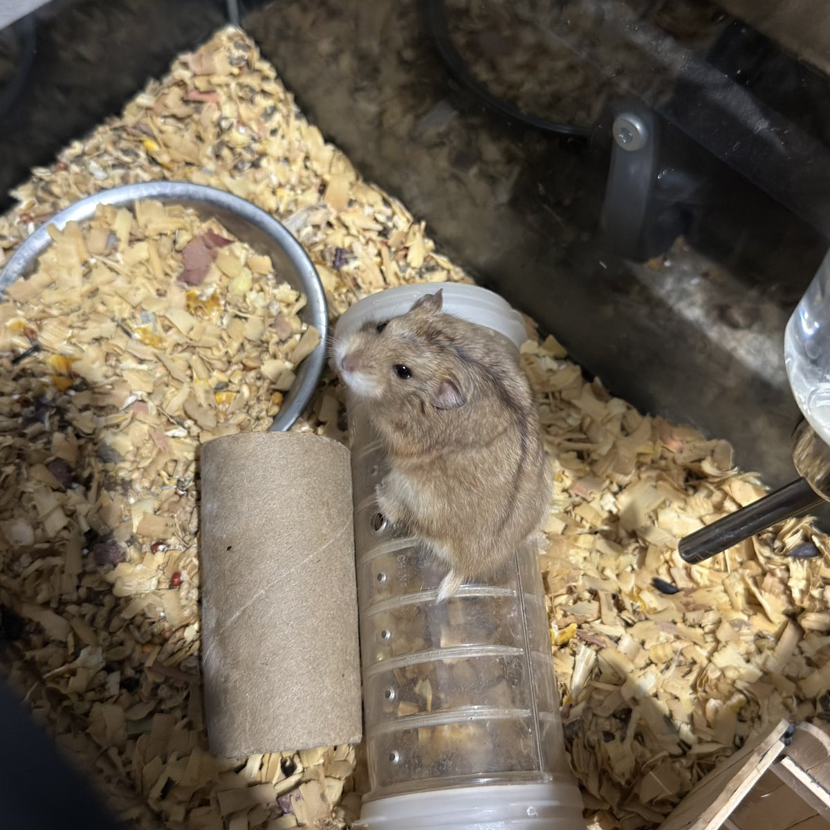 poolaugh1's tweet photo. wts lfb wtt lft 

For Rehoming (Set): ₱1,500

Set: ₱1,500

If not by set:
Female – ₱160 each (5 available)
Male – ₱150 each (7 available)

loc: trece martires, cavite

🏷️ ls svt seventeen skz newjeans babymonster enhypen nct wayv bts twice aespa itzy txt exo iu ld photocard https://t.co/H6id2b4HVo
