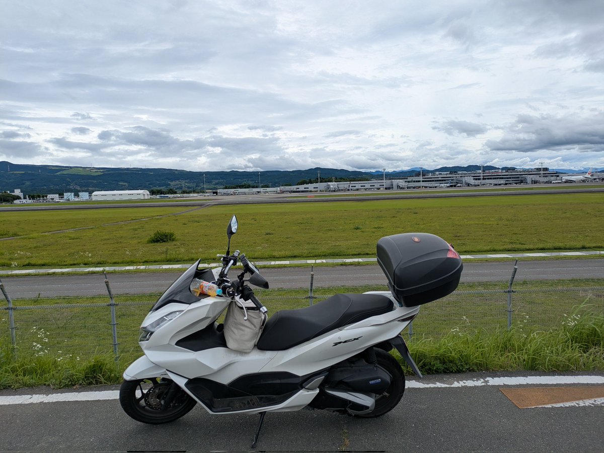youchychy's tweet photo. リュウちゃん
コメは今日ニャンニャンうるさい
なんで鳴くのよ？

空港に行って来ました
原付でもデンジャゾーンが聞こえました

阿蘇は雲が掛かっていました
たぶん雨だったのでしょう https://t.co/5n4Cz13ktO