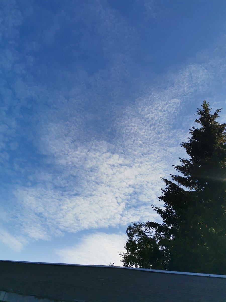 ROM12316's tweet photo. @MoszykThom77713 @PegasusChr64547 Geo ingenerie une sacrée merde, la France peut rembourser les soins de dépistage des métaux lourds il ferait bien de lever les yeux ils ne sont même plus mettre de leur ciel. https://t.co/CkwMuPB8bh