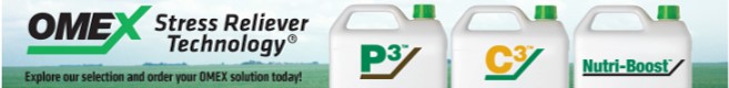 omexag's tweet photo. Talk to your local #AgRetailer or DM your #OmexRep to mitigate stress encountered by your crops. #P3 is for pulses while #C3 is for all crops and #Nutriboost is for heavy stress. https://t.co/W0PhsaGHNp