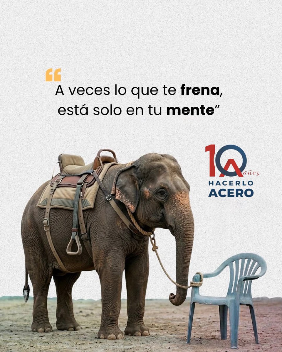 edgesada's tweet photo. A veces lo que te frena, está solo en tu mente ✨

#frases #motivacion #psicologiapositiva #portacintas #medalleros https://t.co/ujDR1uR66n