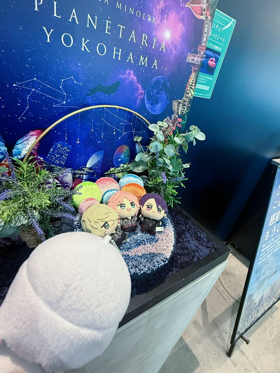 kwinosss's tweet photo. プラネタリウム🌌💫
ふかふかベッドと寂しげな眼差し https://t.co/GBbqudvgs8