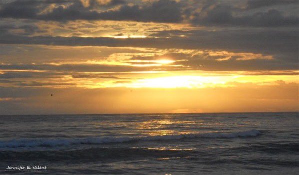 JenniferEValent's tweet photo. Praise Him! Praise Him! Jesus, our blessed Redeemer!
Sing, O earth– His wonderful love proclaim!
Hail Him! Hail Him! highest archangels in glory;
strength and honor give to His holy name!
Like a shepherd, Jesus will guard His children;
in His arms He carries them all day long. https://t.co/M6Wzw1giAi