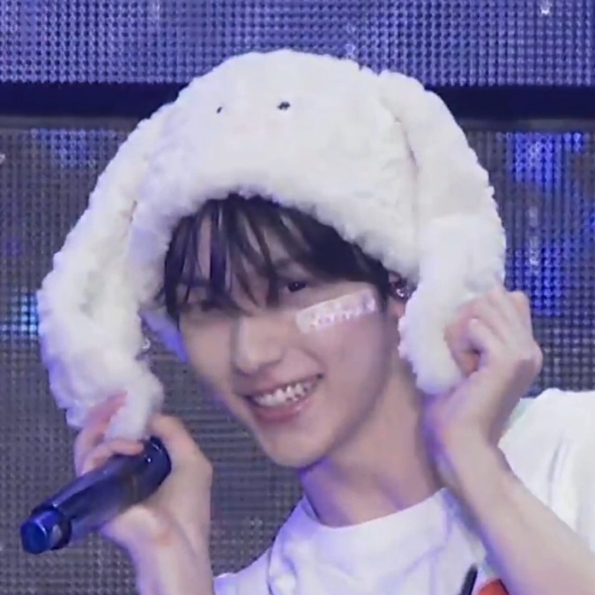 bunnychive's tweet photo. 🐰🐰🐰🐰🐰🐰🐰🐰🐰🐰🐰🐰 https://t.co/Lg9QmxYNu7
