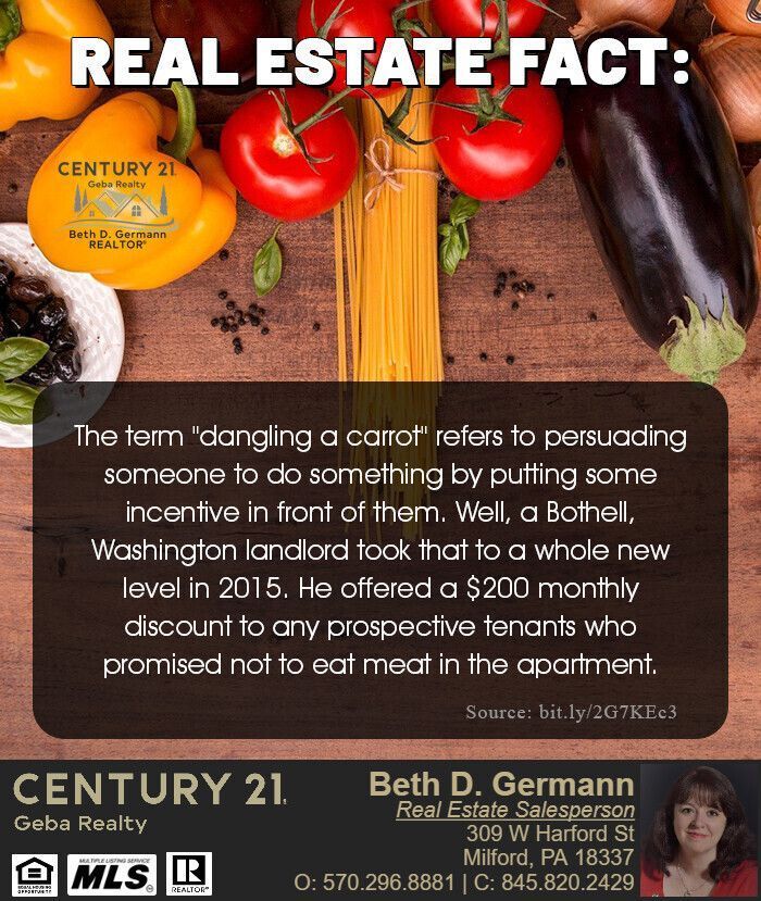 BethG_REALTOR's tweet photo. A landlord, a rent discount, and a surprising no-meat rule. 🥕 DM me for more real estate oddities — or your next home. #NationalEatYourVegetablesDay #BethGermannREALTOR #Century21GebaRealty https://t.co/1Kz5lRD3gr