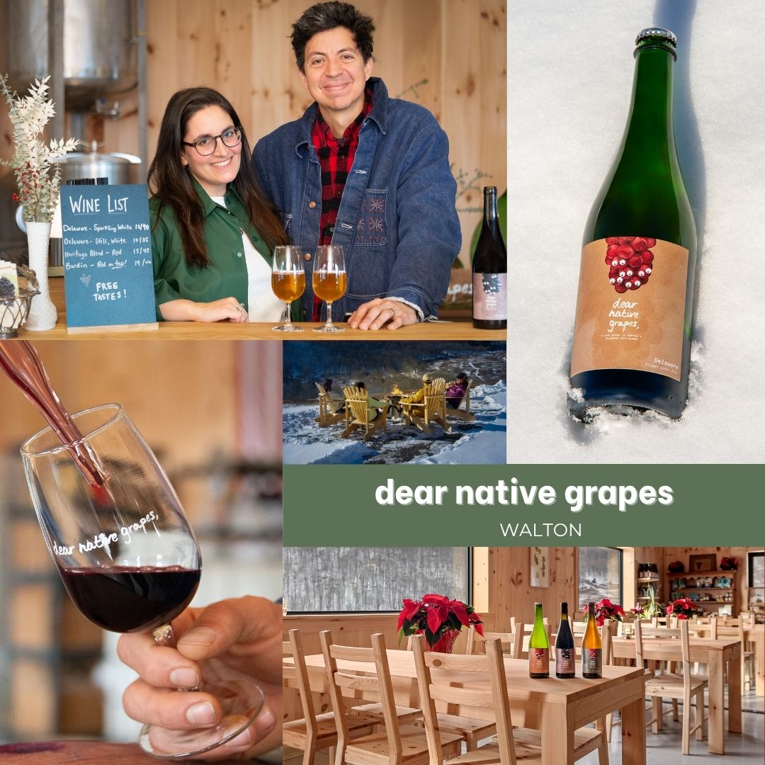 PureCatskills's tweet photo. dear native grapes - a Catskills vineyard reviving America’s forgotten grapes. 30+ rare varieties, natural wines, and a welcoming tasting room with pop-ups, music &amp; more.
Read the full feature on page 13 of the 2026–2027 Guide to Pure Catskills Products.
https://t.co/WuwgYoAKZ5 https://t.co/kf9E771h84