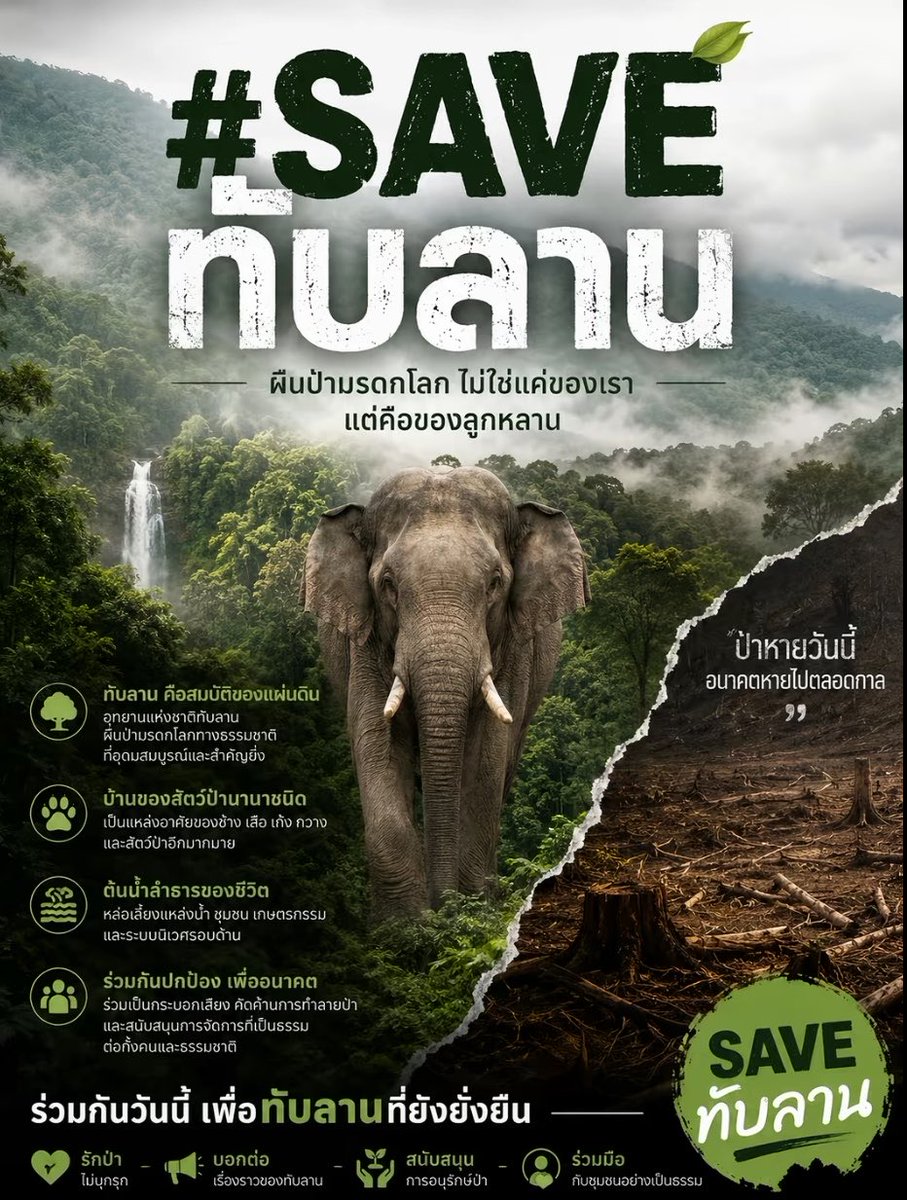 Faielhy's tweet photo. ทุกคนคะ ใครเห็นโพสต์นี้ขอคนละ 1 รีได้มั้ยคะ🙏
#saveทับลาน https://t.co/vSCSv9fNJ0