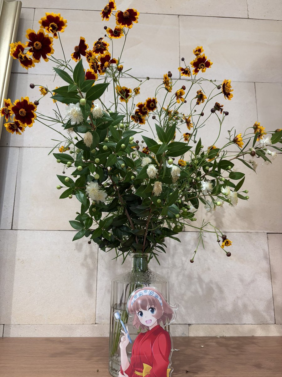 mettoko_pjt's tweet photo. 患者さんからお花をもらう。
しあわせ。白色のお花、なんだか不思議なお花。 https://t.co/9ttVOM5n7V
