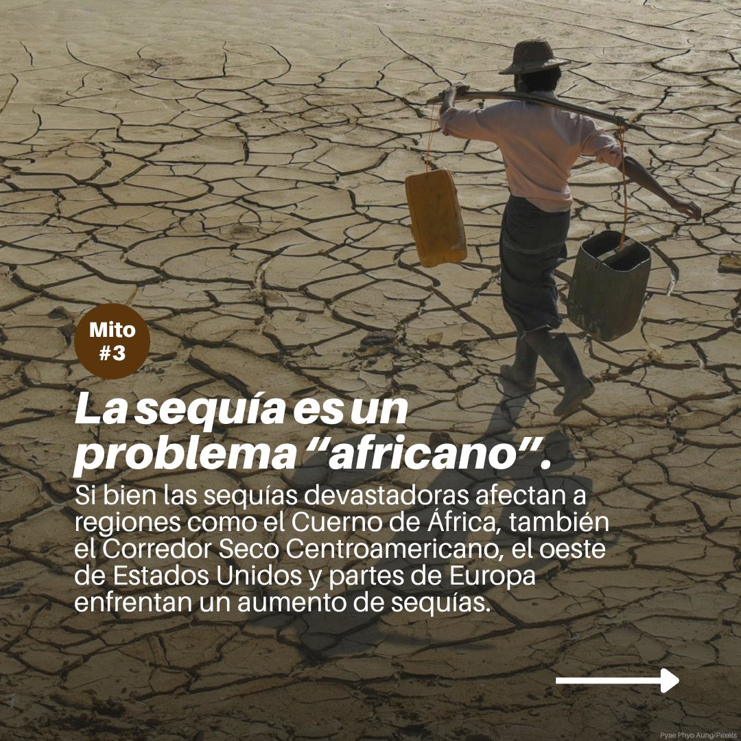 unep_espanol's tweet photo. Desiertos. Sequías. Desertificación.

¿Cuánto sabemos sobre ellos?

Hoy #DíaContraLaDesertificaciónYLaSequía, desmintamos algunos mitos comunes sobre los desiertos, las sequías y la degradación de la tierra.

👉 Desliza a través de ésta y la próxima entrega para aprender más. 🏜️ https://t.co/wtmbp5YJJe