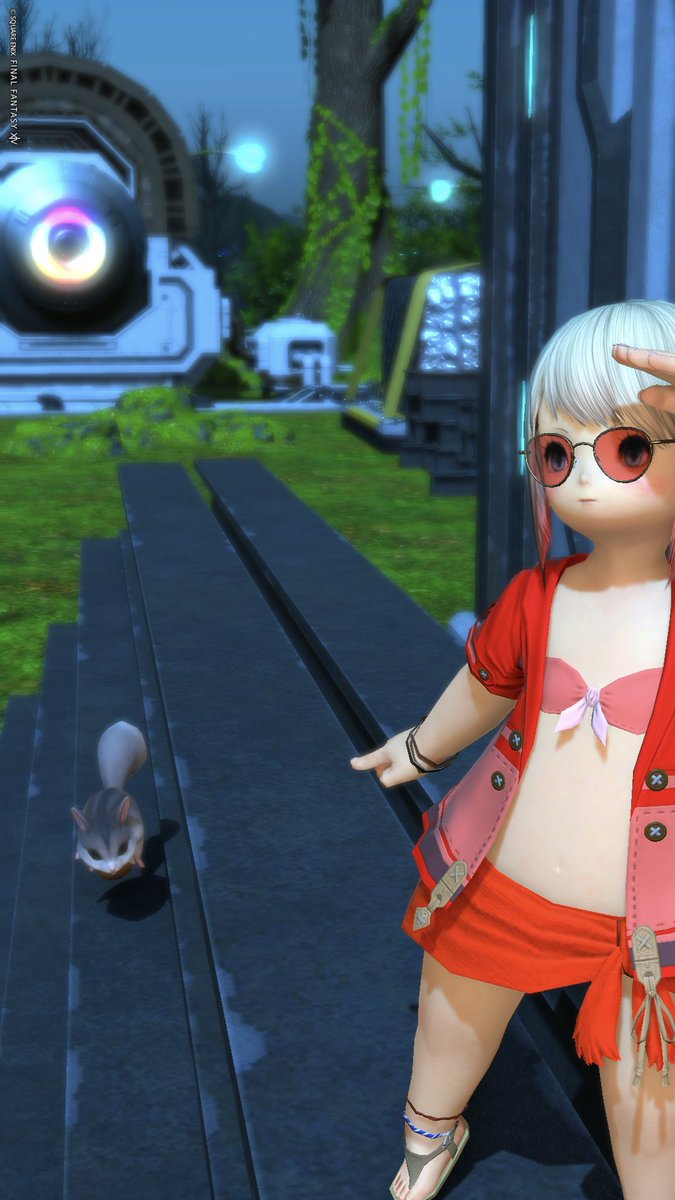 KarinTobee's tweet photo. ララフェルを吸いにINするララフェル
#ララフェル #FF14 https://t.co/o0jRyZe9uF