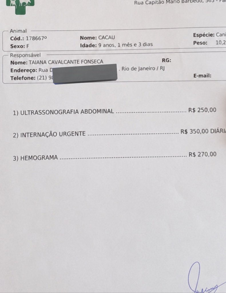 thaiannax's tweet photo. Pessoal 😭 Ontem à tarde ela teve duas convulsões seguidas. Babou muito, ficou extremamente ofegante e eu fiquei desesperada. Depois que ela se acalmou, foi deitar na caminha da minha filha e eu achei que estivesse melhorando. Algum tempo depois, quando fui vê-la novamente, encontrei tudo vomitado e ela toda suja. Enquanto eu tentava limpar, ela teve outra crise de convulsão, começou a tremer muito e vomitou novamente, dessa vez com resquícios de sangue. Corri com ela para o hospital público, mas estava lotado e não havia como conseguir atendimento rápido. Diante da gravidade da situação, precisei levar ela pra um vet particular. Lá o veterinário solicitou diversos exames e informou que ela precisa de internação urgente. Infelizmente, não consegui interná-la naquele momento porque o hospital exige o pagamento imediato, e eu não tenho condições de arcar com todos os custos sozinha. Trouxe a Cacau para casa enquanto tento conseguir ajuda, mas ela continua sem apresentar melhora e eu estou muito preocupada. Além de tudo isso, eu também não estava bem de saúde. O nervoso, a preocupação e o desespero fizeram minha gastrite atacar novamente, mas precisei reunir forças para cuidar dela e correr atrás de atendimento. Por isso, venho pedir ajuda. Qualquer valor faz diferença, até mesmo R$1. Se cada pessoa puder contribuir um pouquinho, isso nos ajudará a realizar os exames e buscar a internação que ela precisa 😢😢😢😢 Pix CPF 149.983 397-02 Taiana