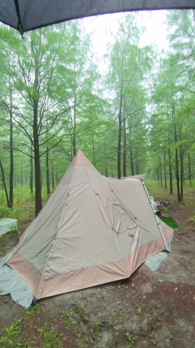 xevi1975's tweet photo. Just woke up to crisp mountain air, the smell of pine, and sunlight filtering through tent flaps—this is the kind of calm that sticks with you forever.  #WeekendCamping https://t.co/vx16c0sntL