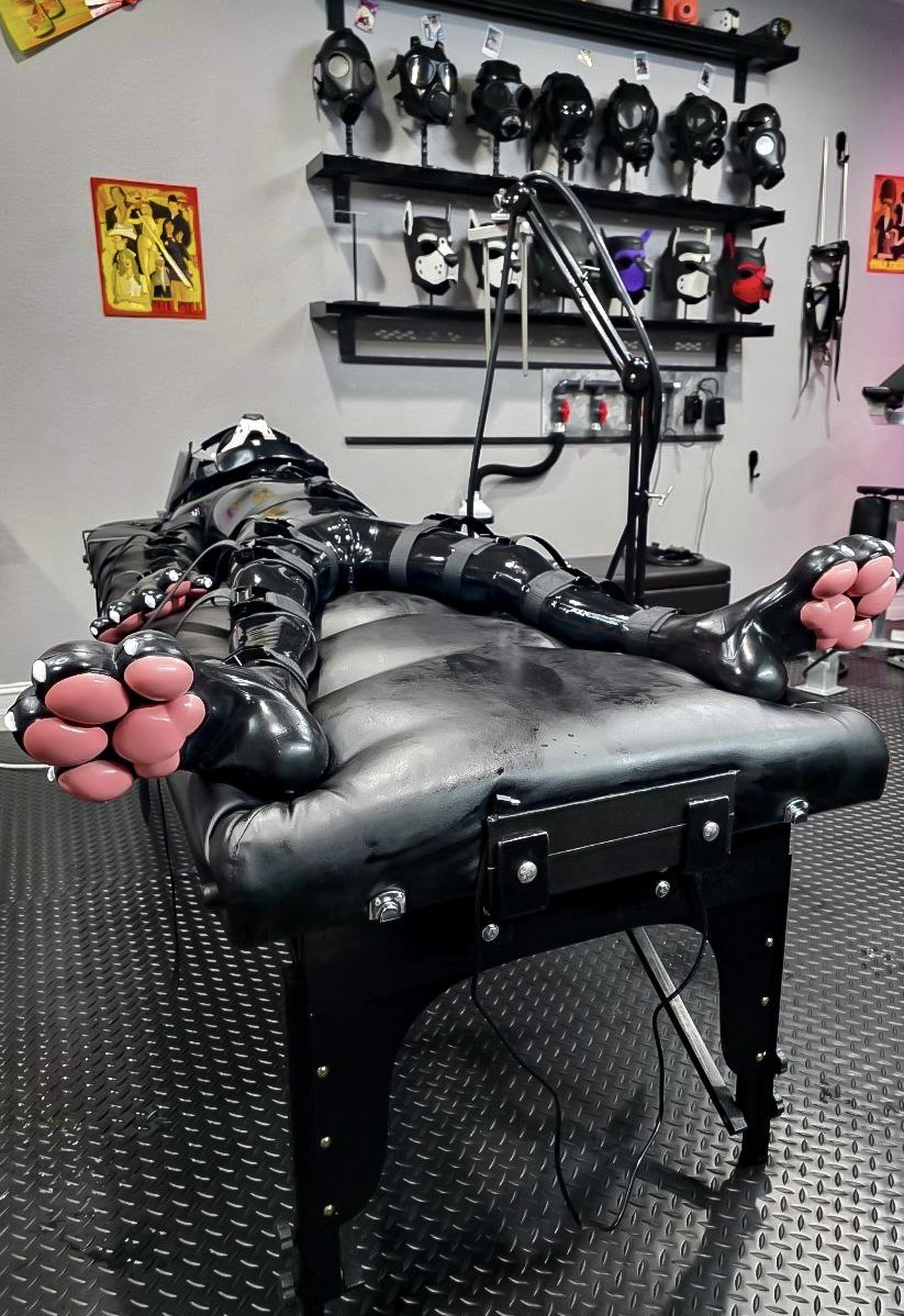Pup_Jibbs's tweet photo. I’m here for the advertised free paw rubs🙃

Wait🤔… have I been bamboozled??🐾

@Smitizen https://t.co/MReAsJO44v