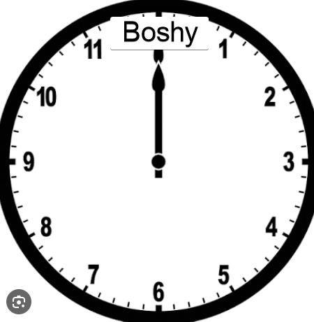 TheBoshiestUser's tweet photo. It's Boshy time! https://t.co/QNVERcm5Xi