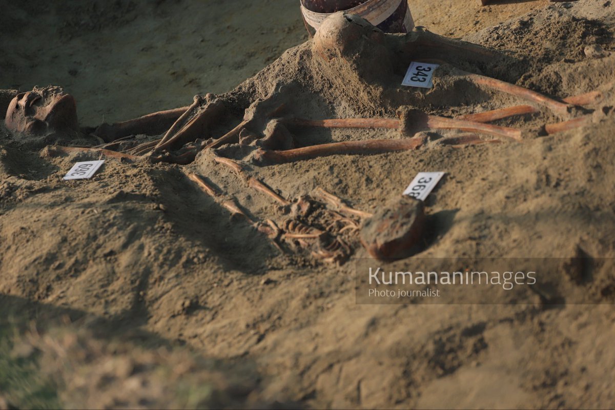 kumanan93's tweet photo. Chemmani Identified as Sri Lanka’s Largest Mass Grave with the Highest Number of Human Skeletons Identified

Chemmani Mass Grave Excavation – Phase 3, Day 27

Today, 14 more human skeletons were identified at the Chemmani Mass Grave excavation site.

With these latest findings, a total of 380 human skeletons have been identified across all three phases of the excavation, while 362 human skeletons have been fully exhumed.

With 380 human skeletons identified, the Chemmani Mass Grave now records the highest number of human skeletons identified at a mass grave site in Sri Lanka, surpassing the Mannar Sathosa Mass Grave, where 376 human skeletons were identified.

#ChemmaniMassGrave