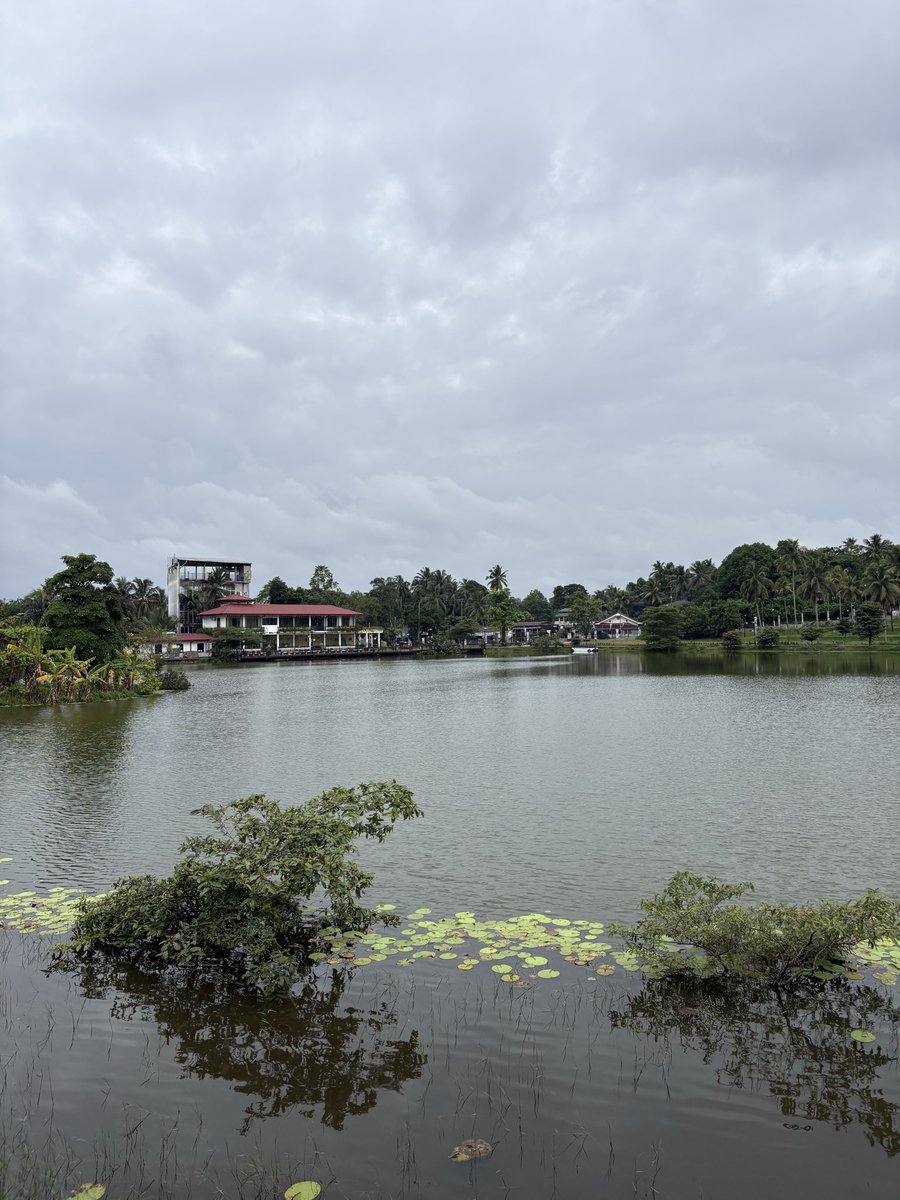 MalinDhamsara's tweet photo. Visited Manelwatta temple today. Its so damn soothing. https://t.co/RoWBBKycMF