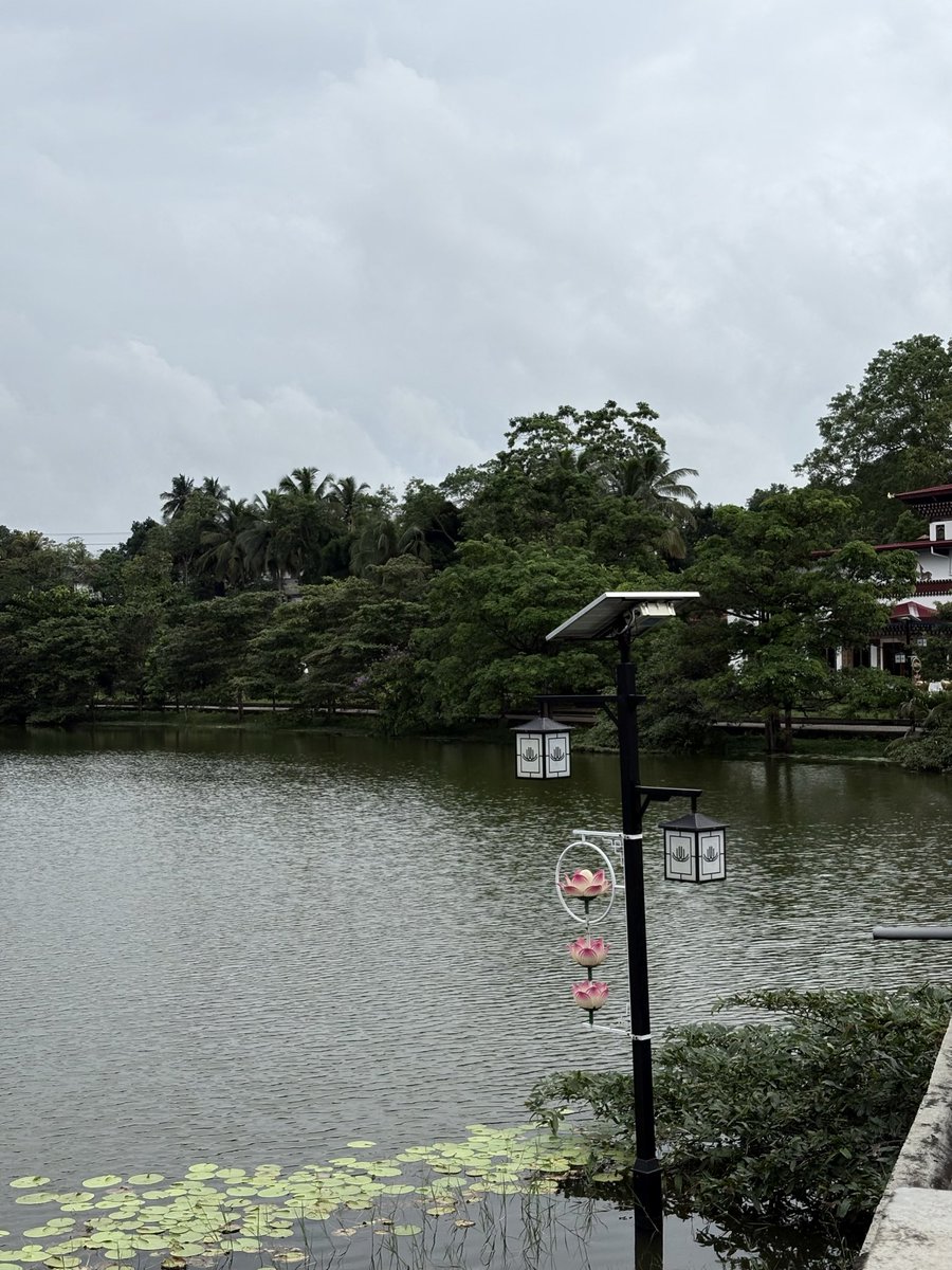 MalinDhamsara's tweet photo. Visited Manelwatta temple today. Its so damn soothing. https://t.co/RoWBBKycMF