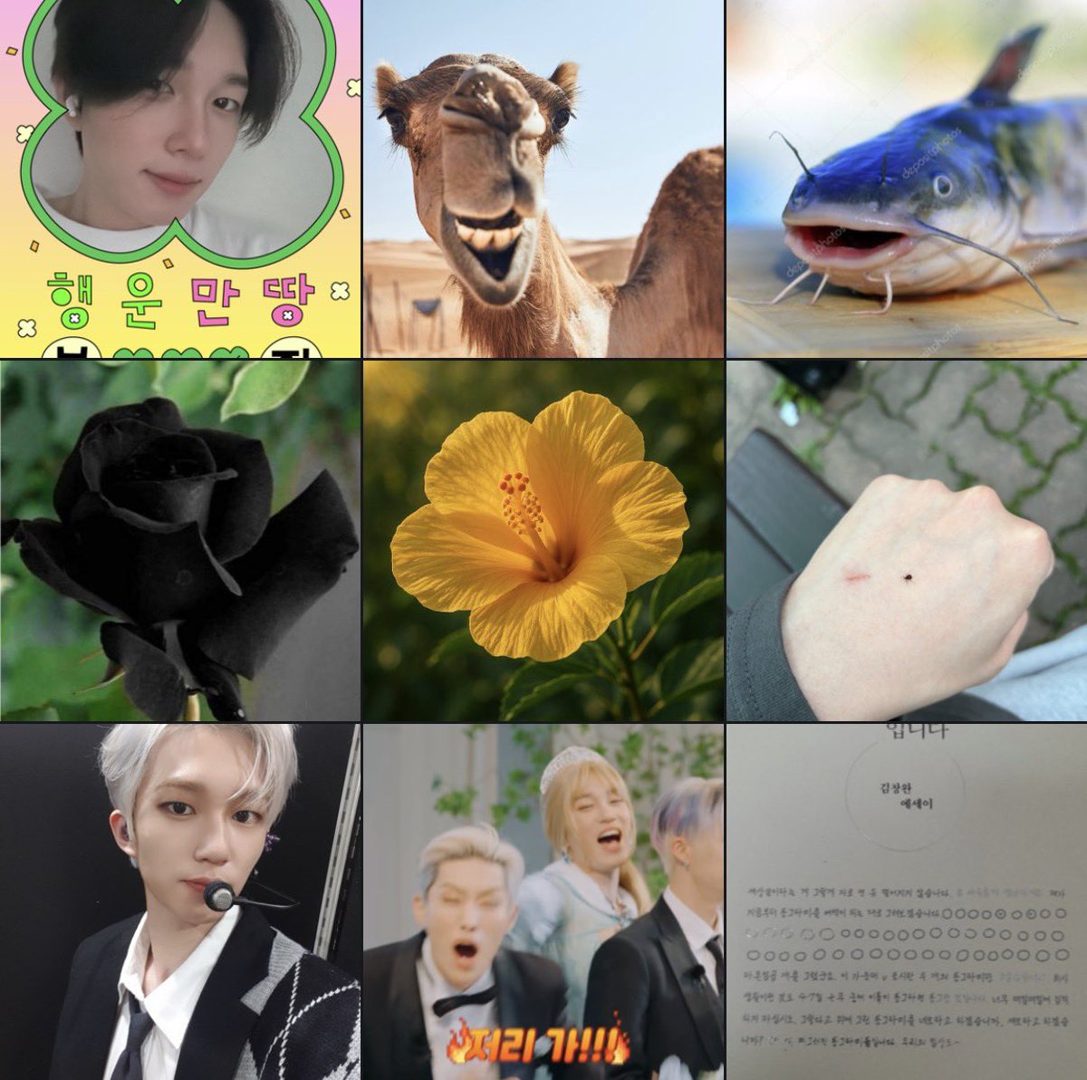 ewinothere's tweet photo. just compared what taeyang posts on fromm and instagram and cried https://t.co/HGN0ELJ78A