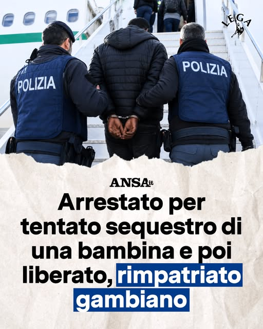 Michi tweet media