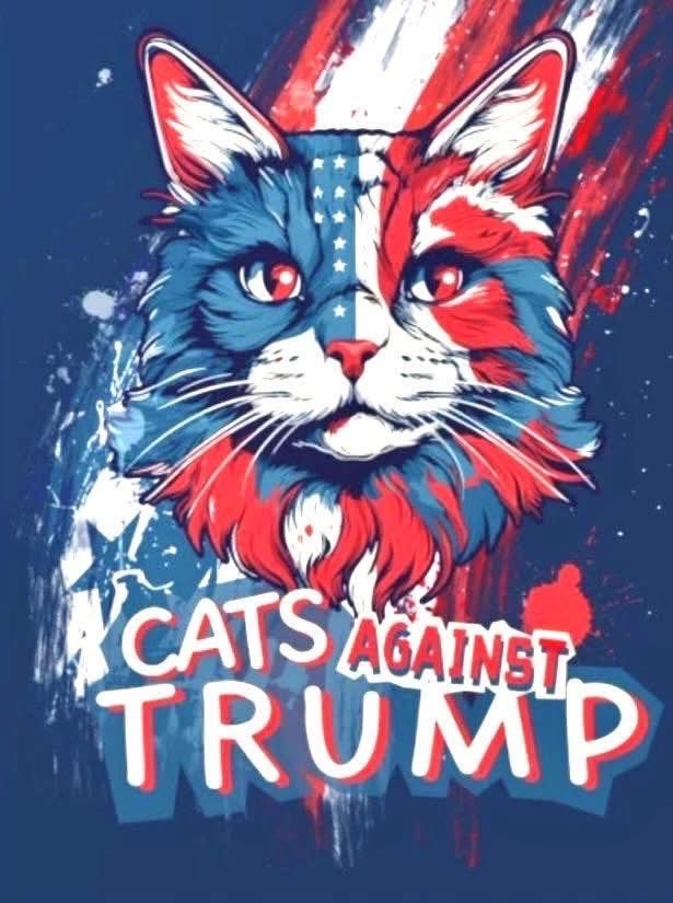 cockroachkisser's tweet photo. Cat Twitter: Good morning…you know what to do. Retweet. 💋 https://t.co/tRg0TONBJQ