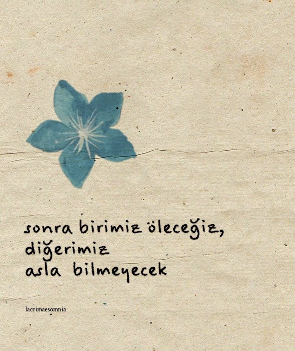 lacrimaesomnia's tweet photo. https://t.co/9VfBatGH1T
