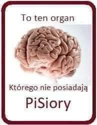 GorskiSeba's tweet photo. @ROGranic @RBakiewicz złamali mu paznokieć i musiał jechać do szpitala https://t.co/U7KSp70O5n