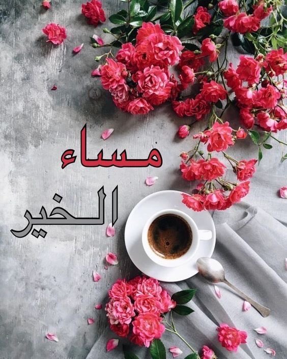 🇸🇦🤍💙الشيهانة tweet media
