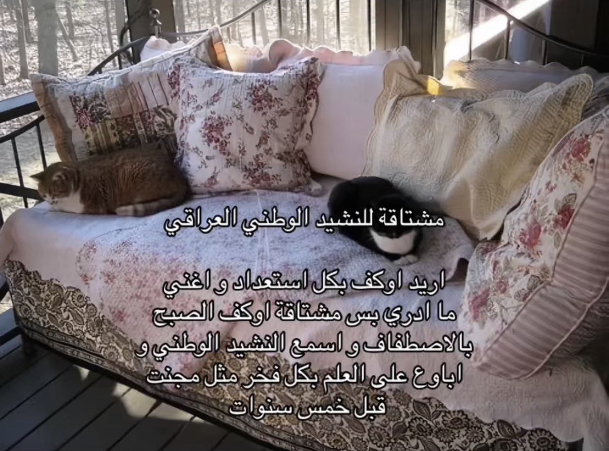 allawizz's tweet photo. اشتاقيت للضحك بالدروس https://t.co/wkCQ9hoD80