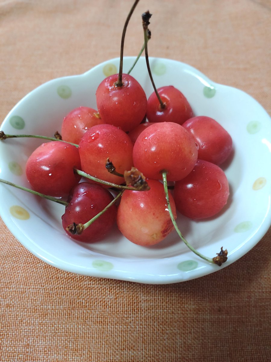 MewGu2's tweet photo. 今が旬のサクランボ🍒今年は、頂く機会がたくさんあり、果物で季節を楽しんでます😉
品種は有名な佐藤錦（さとうにしき）今年は甘さも味も濃くて、とっても美味しいです✨

ฉันแช่เชอร์รี่ไว้ในตู้เย็น แล้วค่อย ทานค่ะ https://t.co/Ils1GyZgva