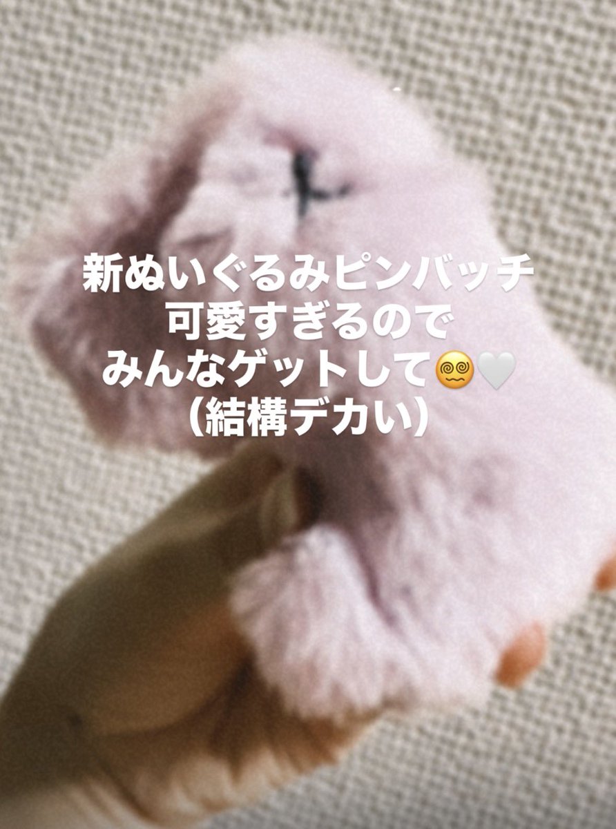 315no19chi's tweet photo. 🐘明日のリリパで登場するよ〜🐘
（結構デカい） https://t.co/owyOtt1uTd