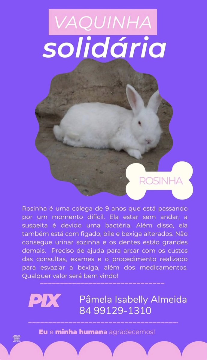 seungmaay's tweet photo. oi, gente! passando pra pedir ajuda pra um animalzinho que está em condições difíceis, qualquer valor é bem-vindo. 🥺 https://t.co/ImL8YoisGc