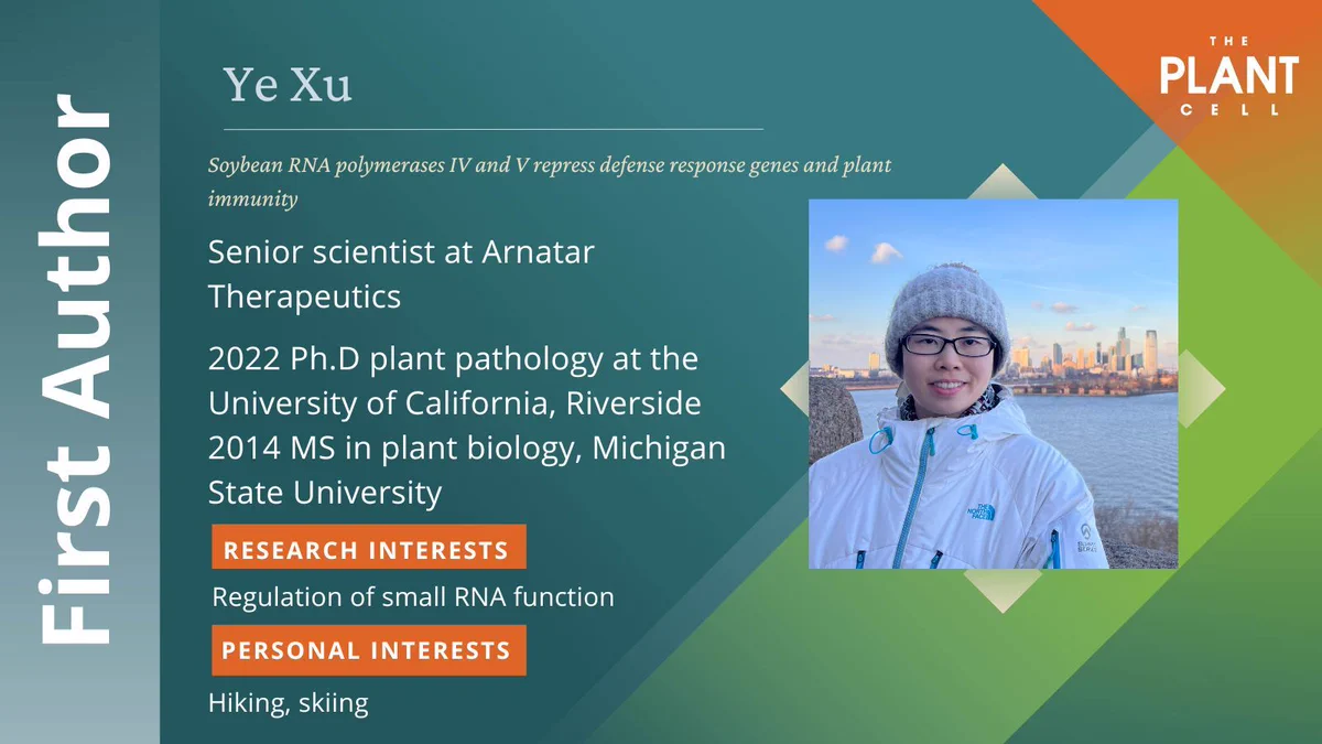 Ye Xu(she/her) is the First Author of Soybean RNA polymerases IV and V repress defense response genes and plant immunity  published 09 February 2026. She is a senior scientist at Arnatar Therapeutics. Education background includes: 2022 Ph.D plant pathology at University of California, Riverside, 2014 MS in plant biology, Michigan State University. Research interests include the regulation of small RNA function. Personal interests include Hiking, skiing.