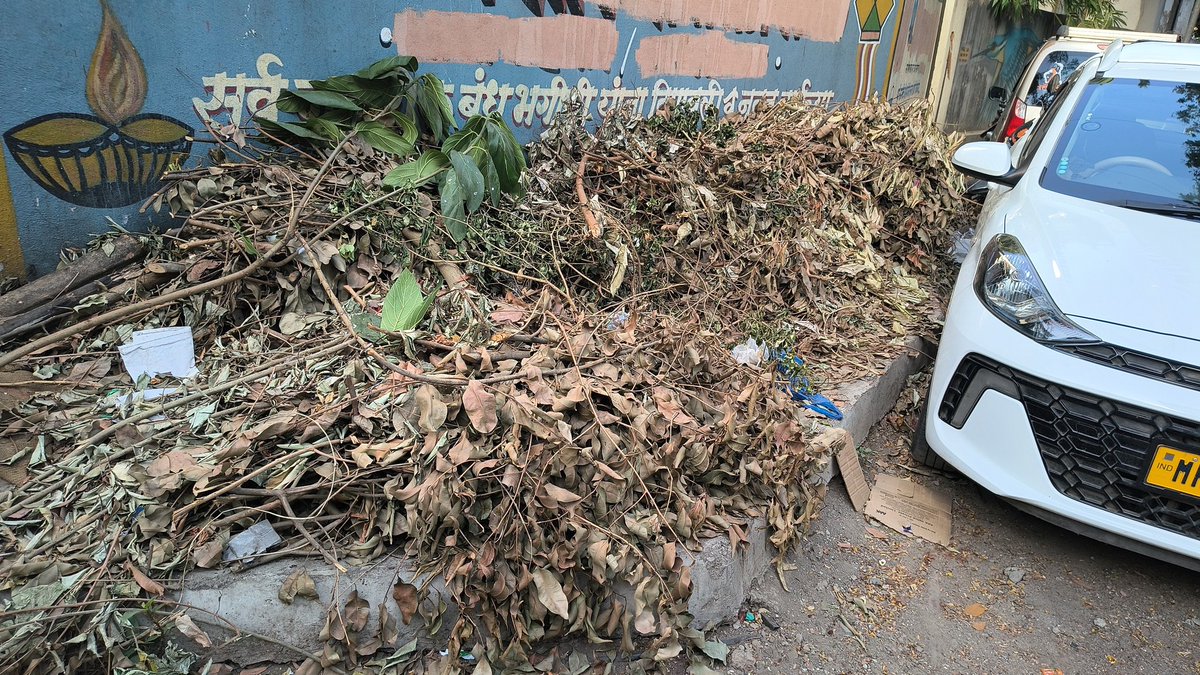 SANTOSHBJ73's tweet photo. @TMCaTweetAway स्मार्ट ठाणे https://t.co/IbVSXrJVG2