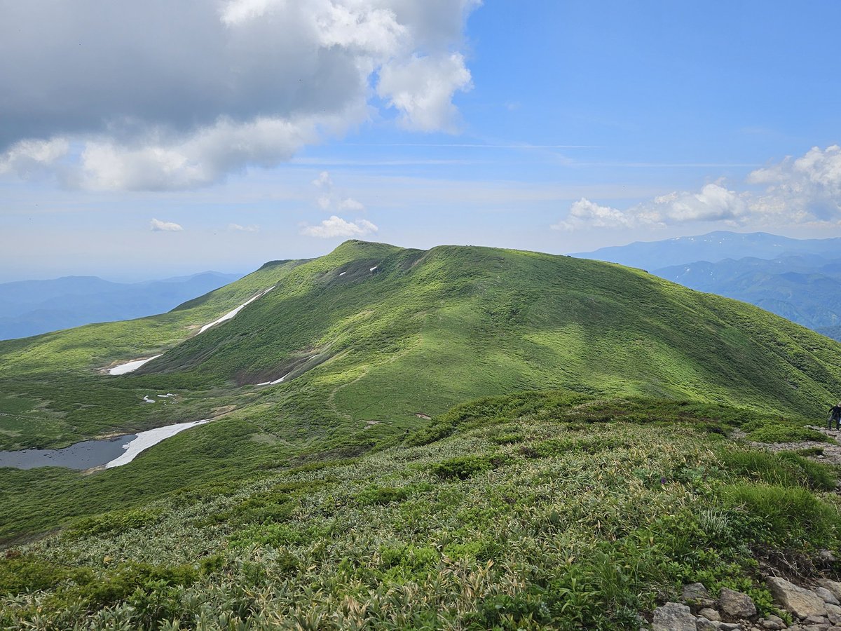zebra_cru1ser's tweet photo. 花を求めて焼石岳へ。
色んな高山植物が咲き乱れてて、特にハクサンイチゲはあちこち咲いてて、一生分見た気がする🤣
最高の山でした👏 https://t.co/SDBy97gyYD