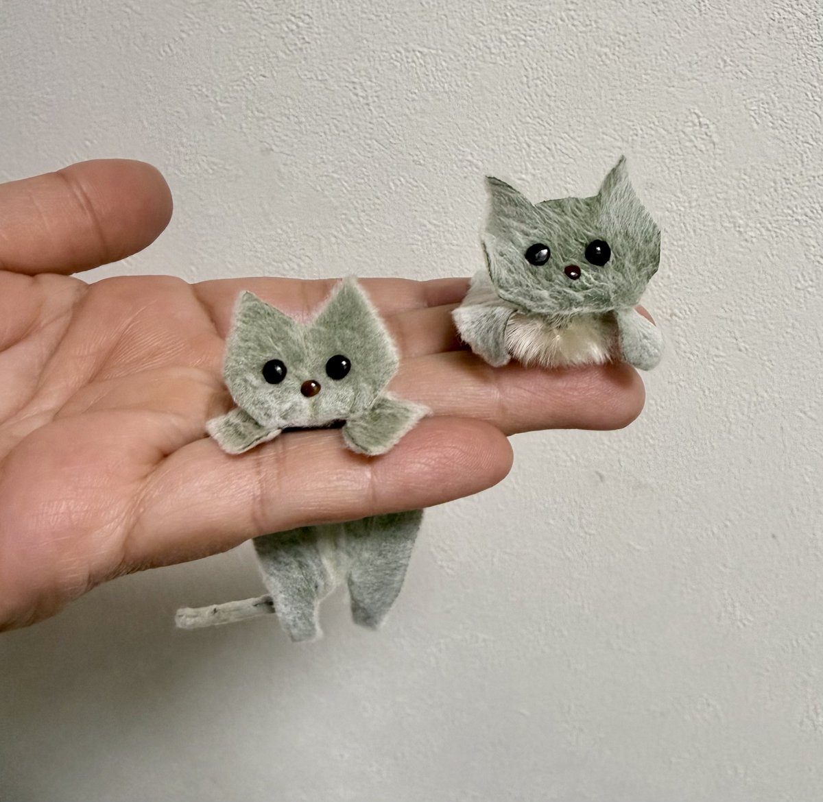 kusabanaasobi's tweet photo. ちなみに、こちらがラムズイヤーの猫です。
さらにふわふわでサイズも大きいです。
目と鼻はケンポナシの種です。
胸にタンポポの綿毛をつけてみました。
夏休みの草花あそび会用の試作です。 https://t.co/FHHAM165we