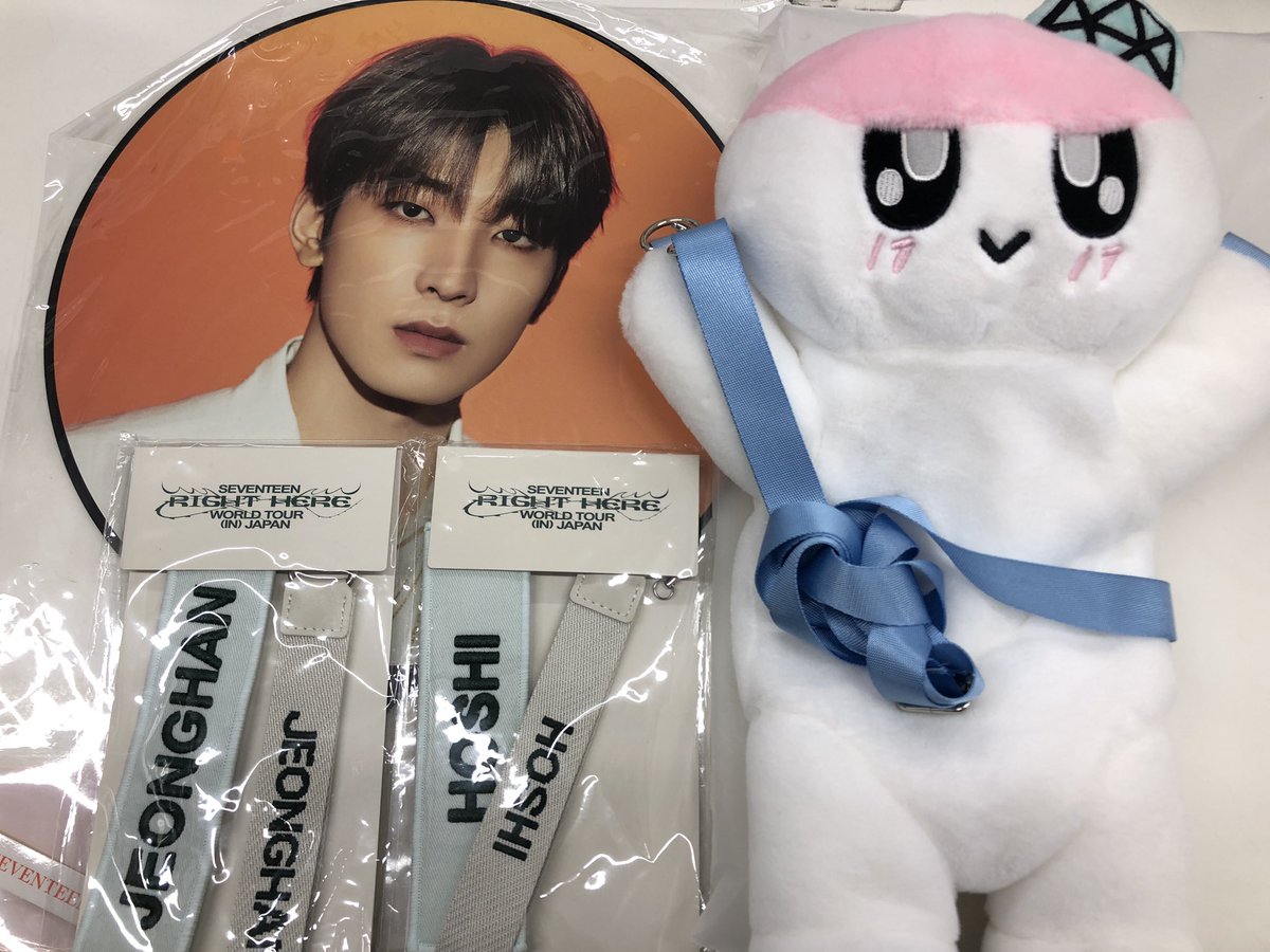 入荷情報】 #SEVENTEEN BE THE SUN ウォヌ うちわ ボンボンイ ペン