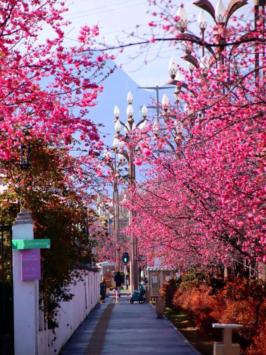 Valentinababyx1's tweet photo. Sunny spring morning, perfect for a quick jog! https://t.co/VFhH0eCwpO