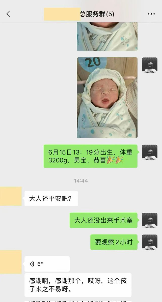 vkingchou's tweet photo. 【报喜篇🌻】  6.4斤#男宝宝
[庆祝]以科学为翼，守希望之光；🌿
🌹凭专业为墨，绘承诺之章。👶
[��花]恭喜宝爸宝妈，喜提小确幸。
[福]愿每一份坚持，终迎星辰闪耀✨  
咨询请+微信:-ivf188188
#夫夫分卵 #代孕 #龙凤胎 #0风险包成功 #hiv洗精 #三代试管 #选性别 #不孕不育#包成功 #a卵b怀 #拉拉 #les https://t.co/q9A6s13AJU