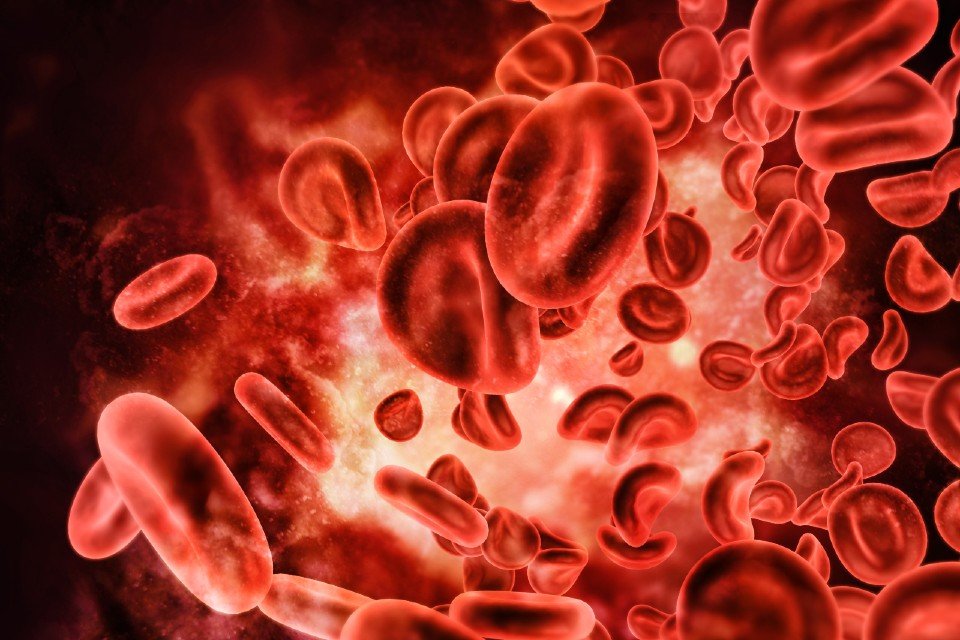 europawire's tweet photo. Blood Cancer UK Awards More Than £475,000 to Support Landmark UNCOVER Research Programme Led by University of Liverpool https://t.co/3rU6nxJ4nl #BloodCancer #UNCOVER #UniversityofLiverpool @LivUni https://t.co/6n8f19vLuW
