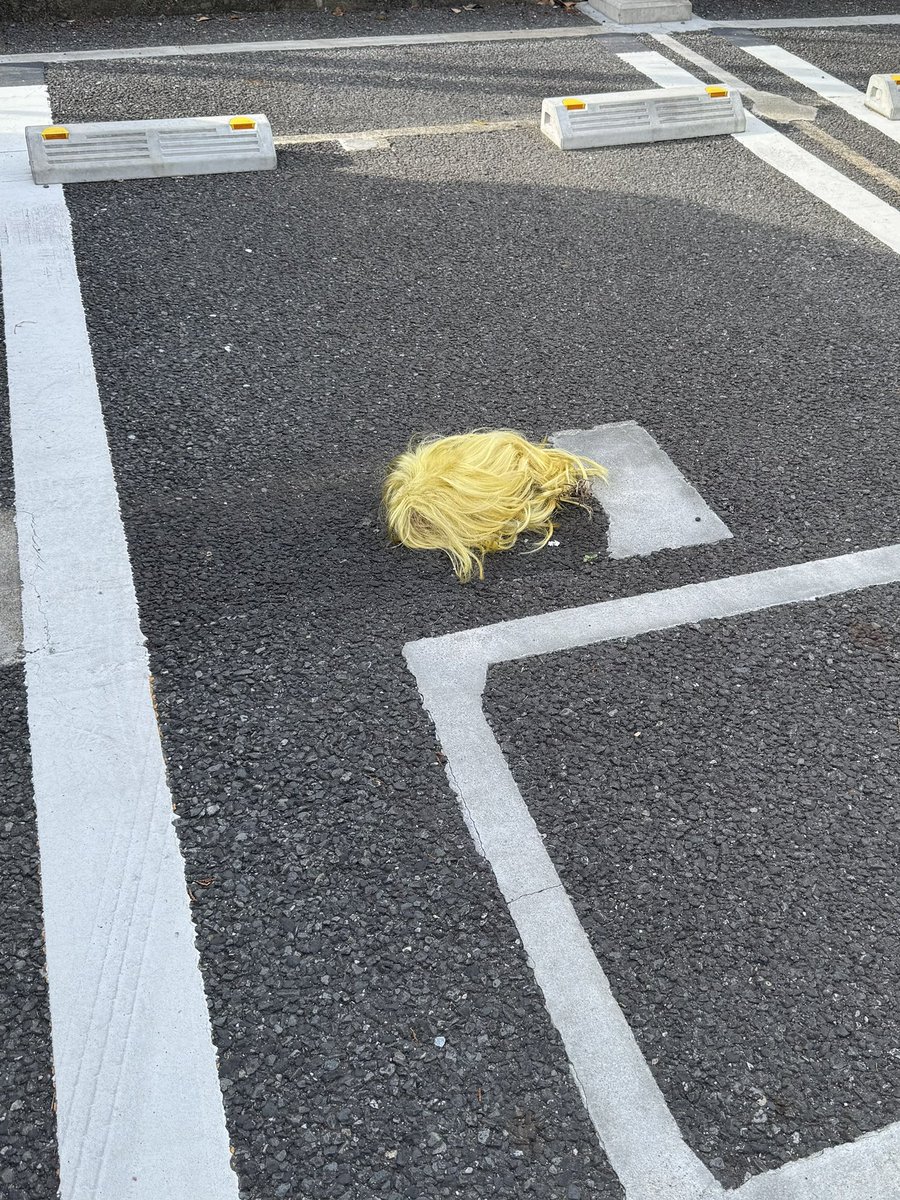 syudou🦩 tweet media