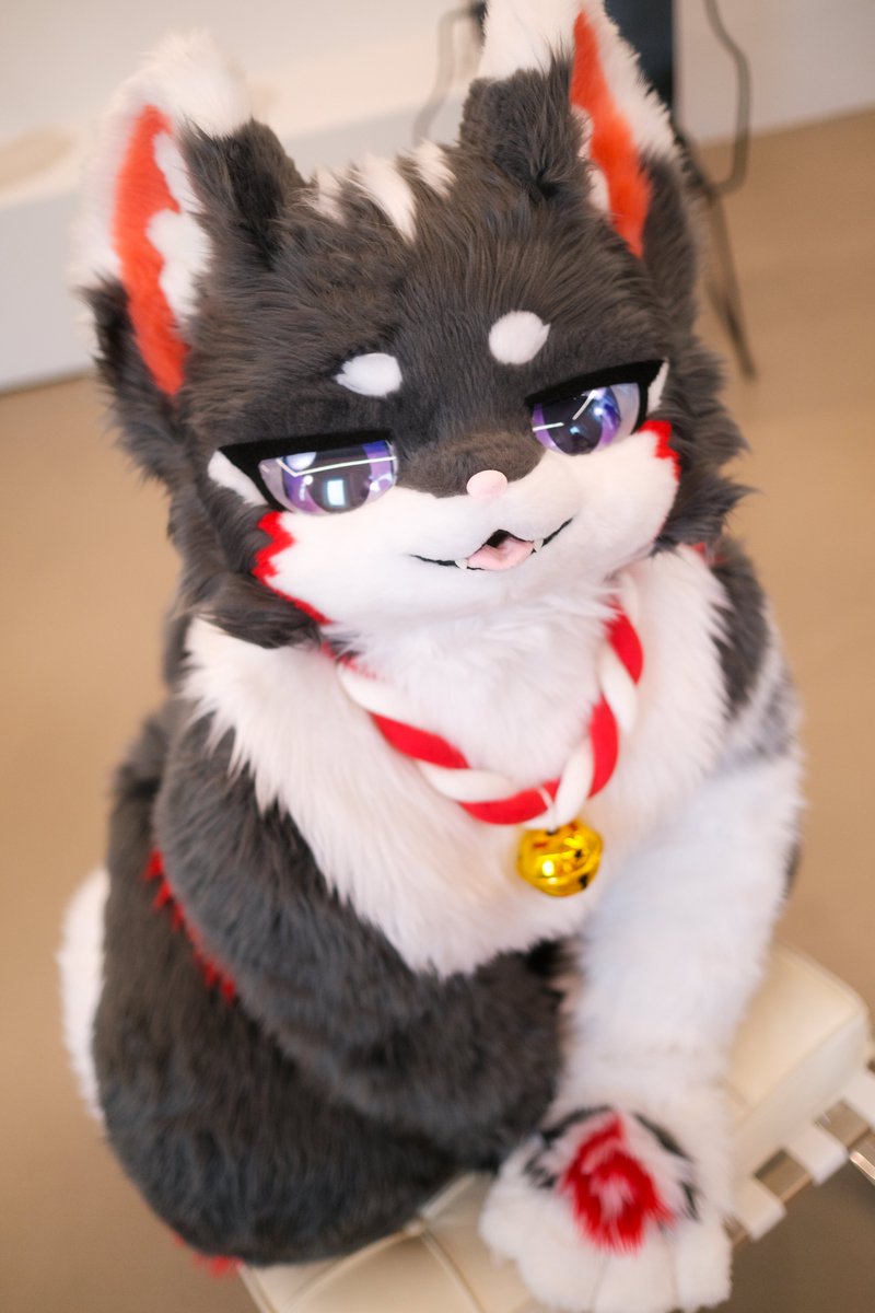 chibi_catto's tweet photo. 뎨- https://t.co/04rFFRafsu
