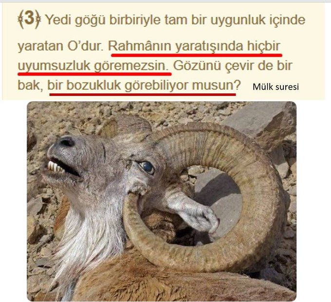 LΞGΞND tweet media