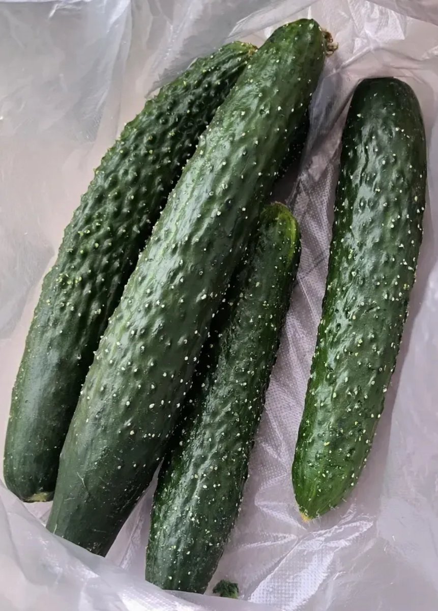 Alex60501050's tweet photo. Just grabbed super fresh veggies u0026 free-range eggs from the local farmers' market—stoked for a cozy home-cooked dinner tonight! https://t.co/moOitWsx6C