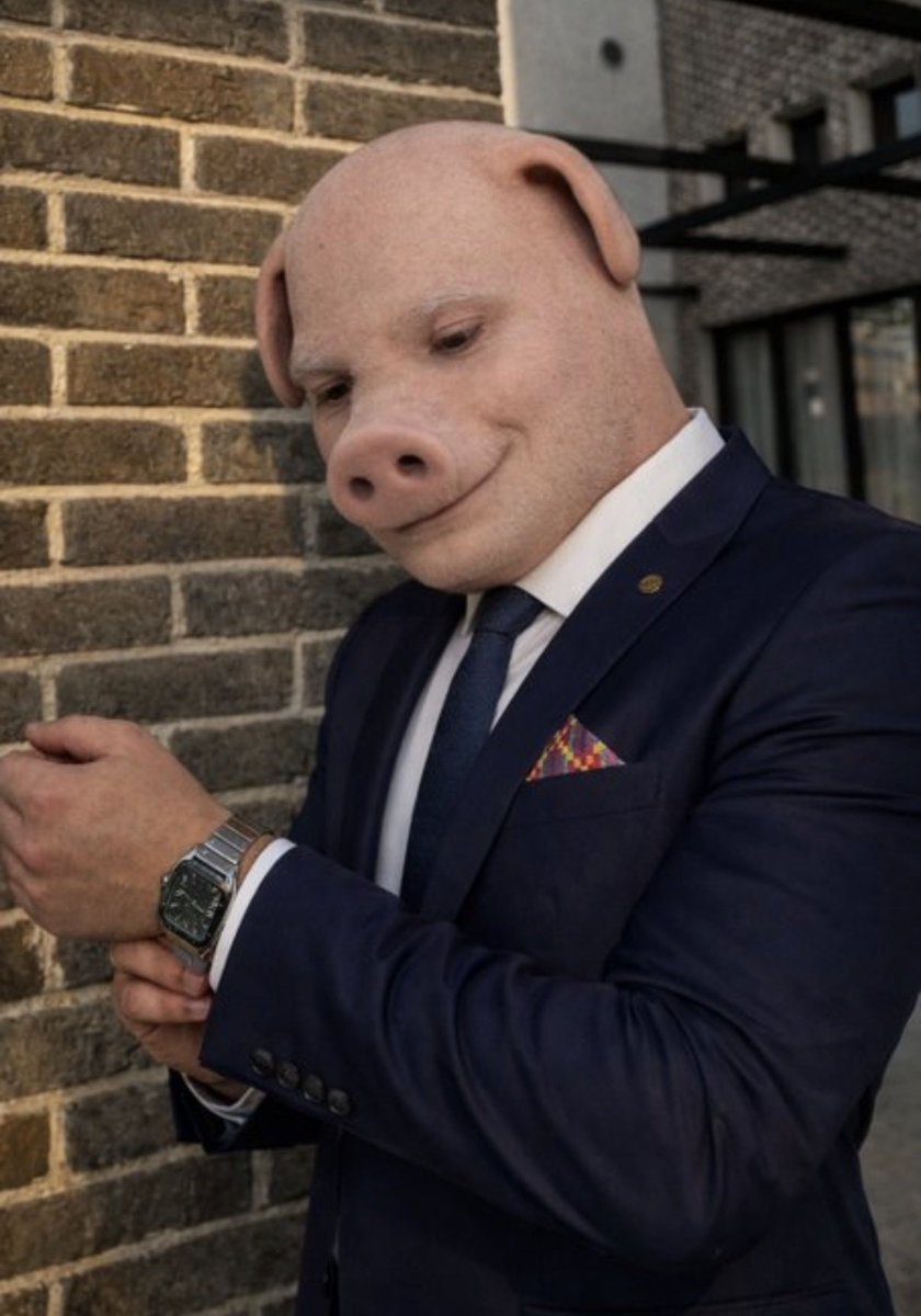 liebe_sol's tweet photo. @binance porkStocks https://t.co/M9QMbbuca6