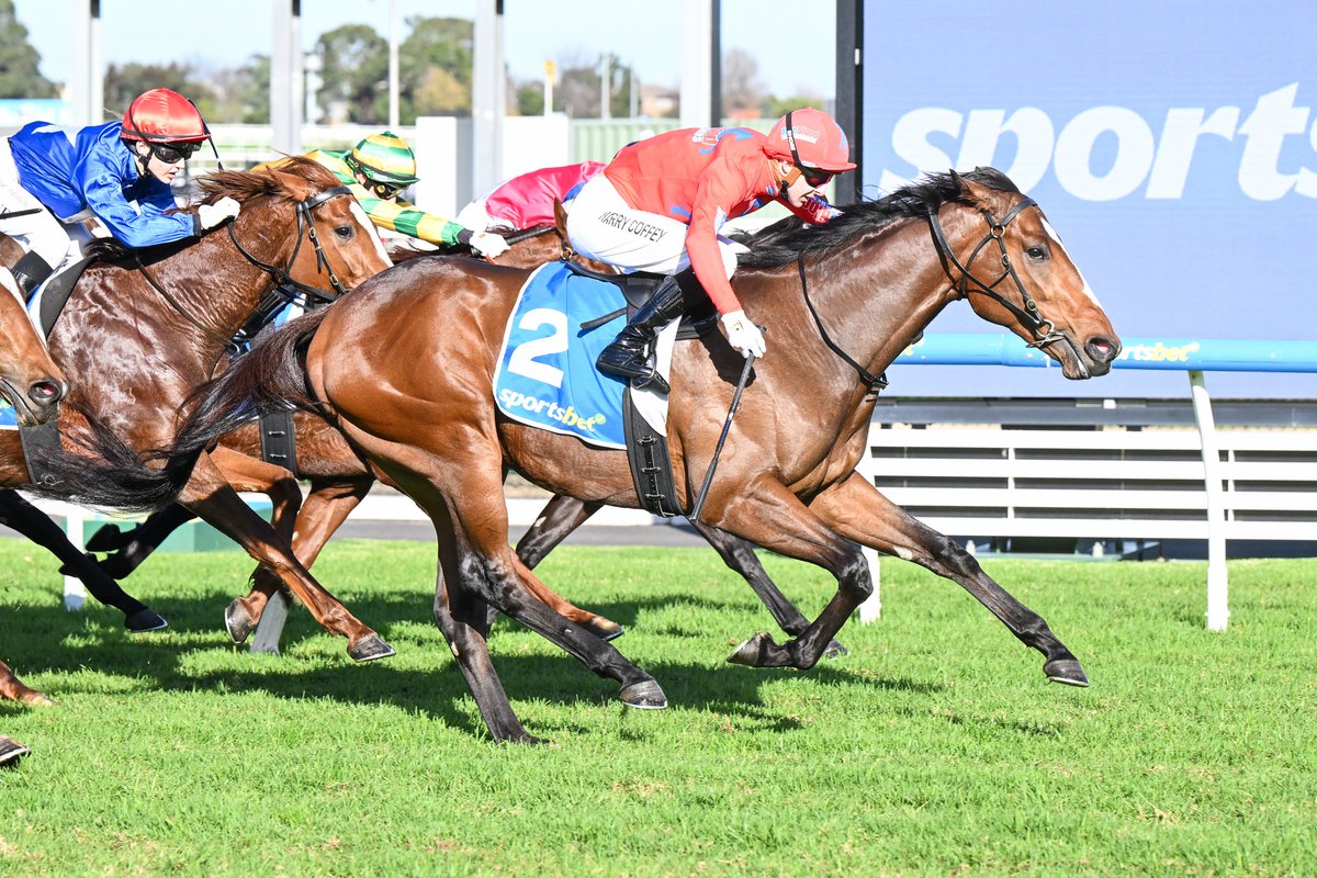 breednet's tweet photo. Exciting first season sire Wild Ruler surges to nine winners - 60k MM purchase for Blueblood Thoroughbreds/Lindsay Park, Vivid Storm scores at Caulfield and has already won back his purchase price  https://t.co/TGHRz6dV1B  @mmsnippets @lindsayparkrace @BlueBloodAus @NewgateFarm @bruceaslade @JamesBester4