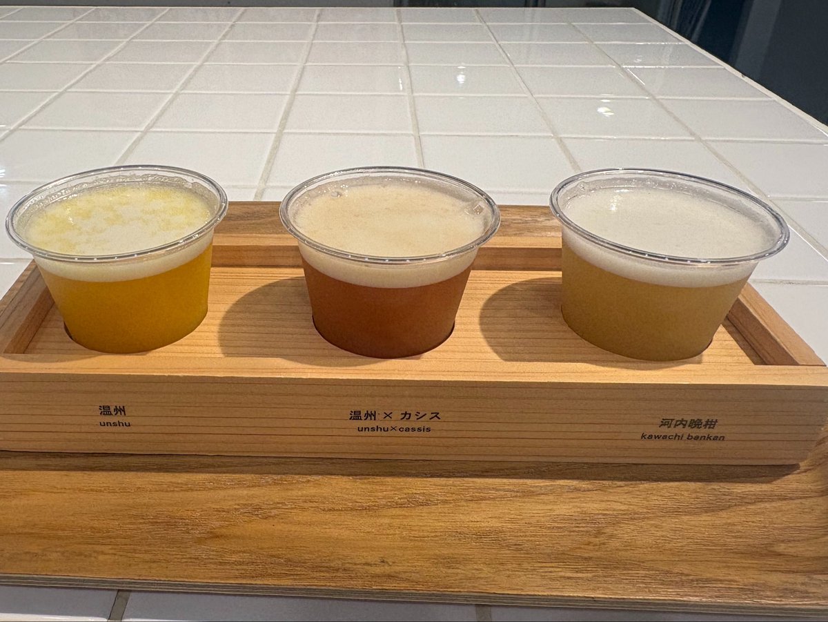 ifleto_3's tweet photo. 地元で観光客してきたのだ！！！
みかんビール飲み比べ全部うまうまだった🍺🍊 https://t.co/I3tgkIhLoh